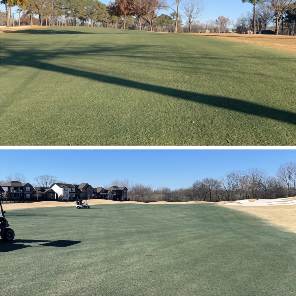 Endurant Turf Colorant is not a grass paint that turns blue. See Endurant versus the other guy.