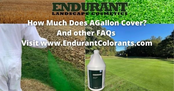 How Much Does a Gallon Cover and other FAQs with a person painting grass using a hose sprayer showing brown grass going green and a bottle of Endurant Turf Colorant Premium grass paint