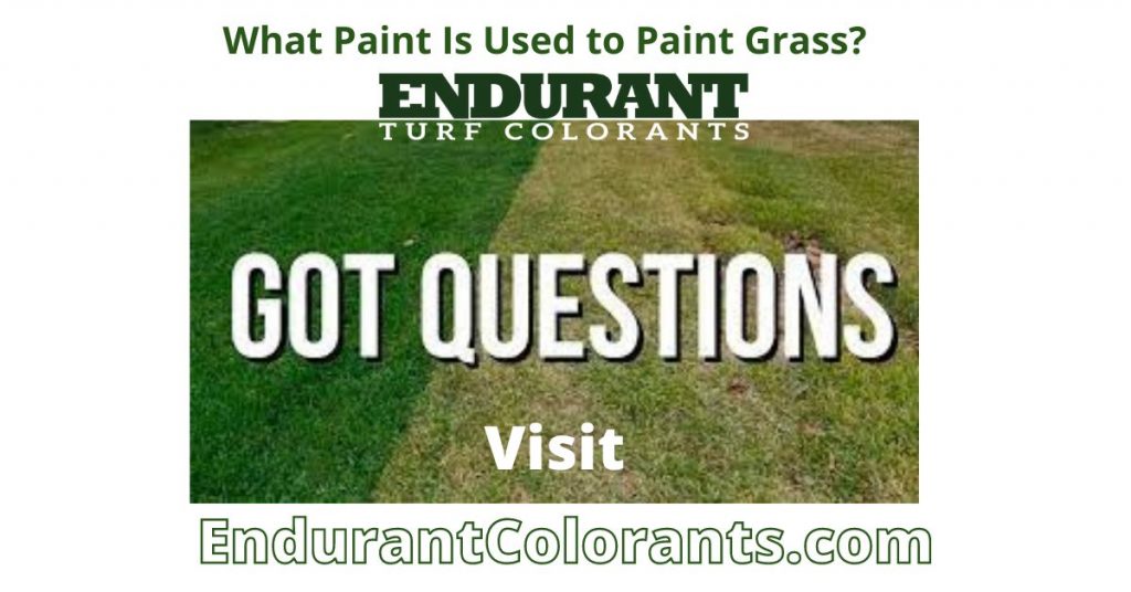Which paint do you use for grass painting? Endurant