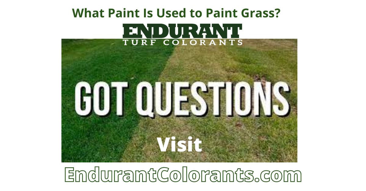 What Paint Do You Use to Paint Grass? Endurant Colorants